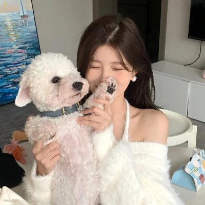 寻找完美先生